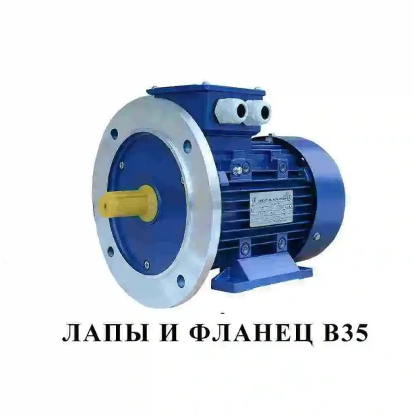 Электродвигатель АИР 100 L6 (2.2 кВт 1000 об/мин)